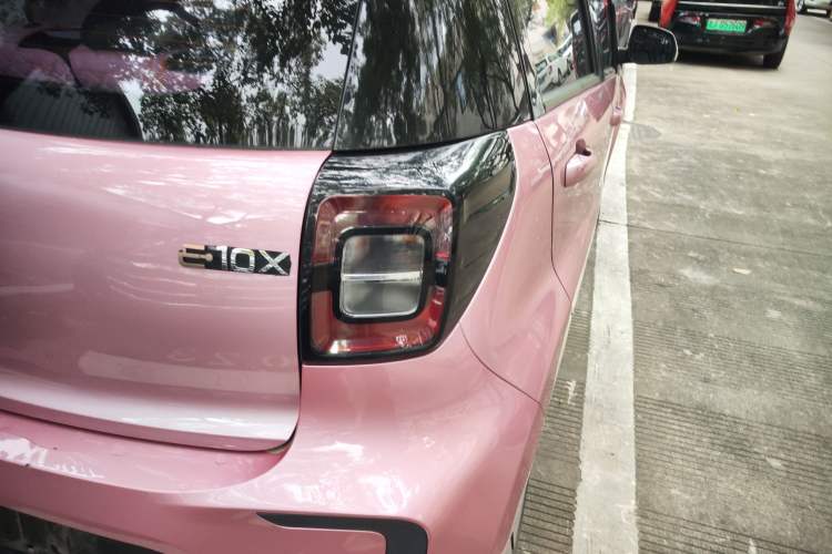 Used SOL E10X 2022 Flower Fairy Style Baby's Breath