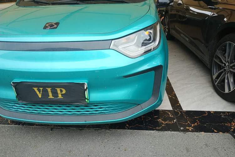 Used SOL E10X 2022 Flower Fairy Style Baby's Breath Left Front Headlight