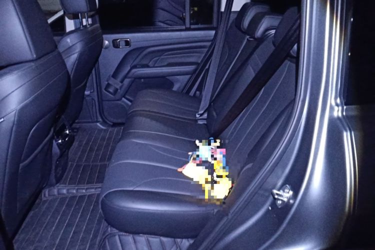 Used Haval H9 2024 2.0T Gasoline All-Wheel-Drive Extreme Edition
