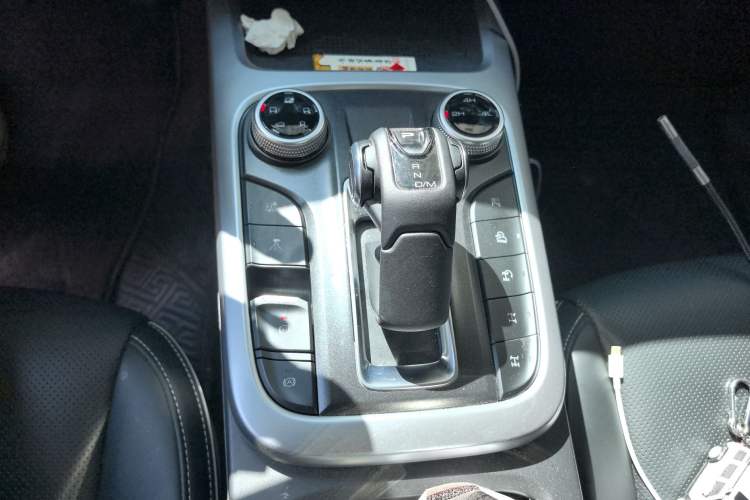 Used Tank 300 2024 2.0T Conqueror
