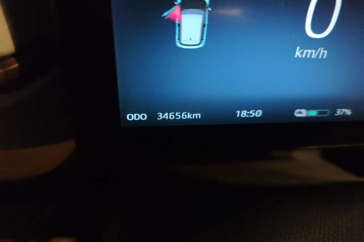 Used SOL E10X 2022 Flower Fairy Design Four-Leaf Clover Odometer Close Up