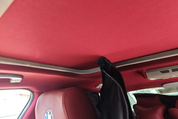 Used BMW 3 Series 2010 325i Sport Edition Headliner