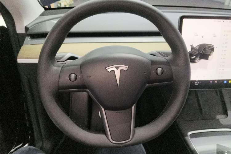 Used Tesla Model Y 2022 Revised Version Rear-Wheel Drive
