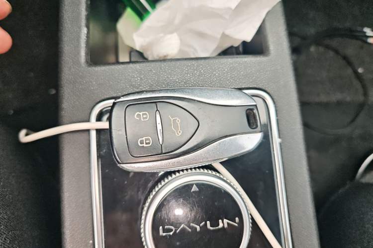 Used Dayun Yuehu 2022 30.66 kWh Two-Wheel Drive Standard Version