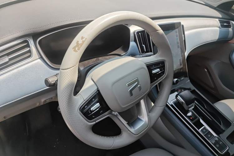 Used Rising ER6 2020 620 km Smart Edition
