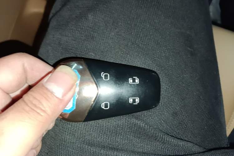 Used VOYAH Dream 2024 PHEV Extended-Range Premium Edition
