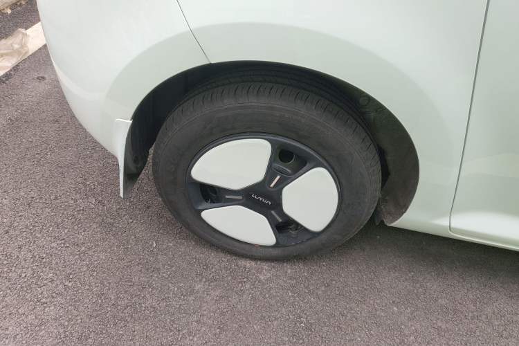 Used Qiyuan Lumin 2023 205km Xiangqin Version