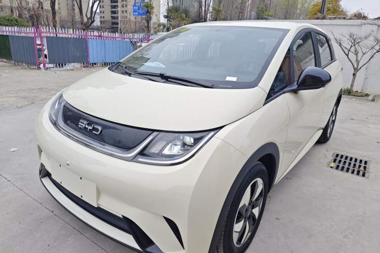 Used BYD Dolphin 2025 420km Free Edition