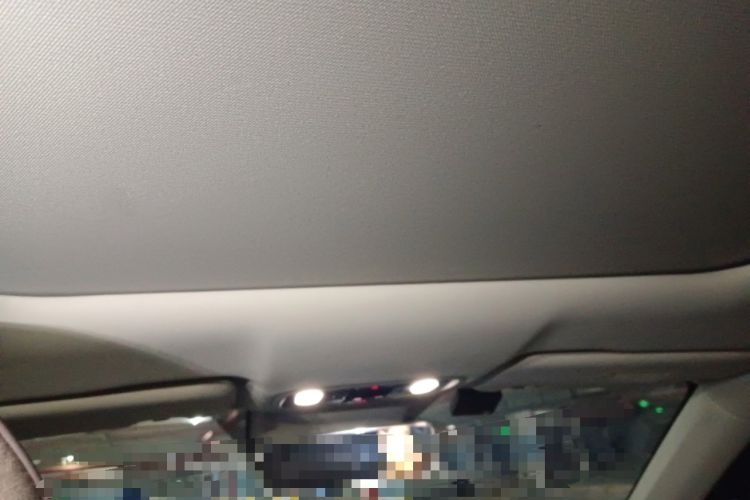 Used Leapmotor C11 2021 Performance Edition Headliner