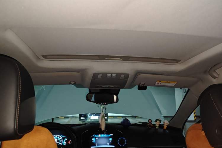 Used Buick Regal 2015 1.6T Elite Tech Model Headliner