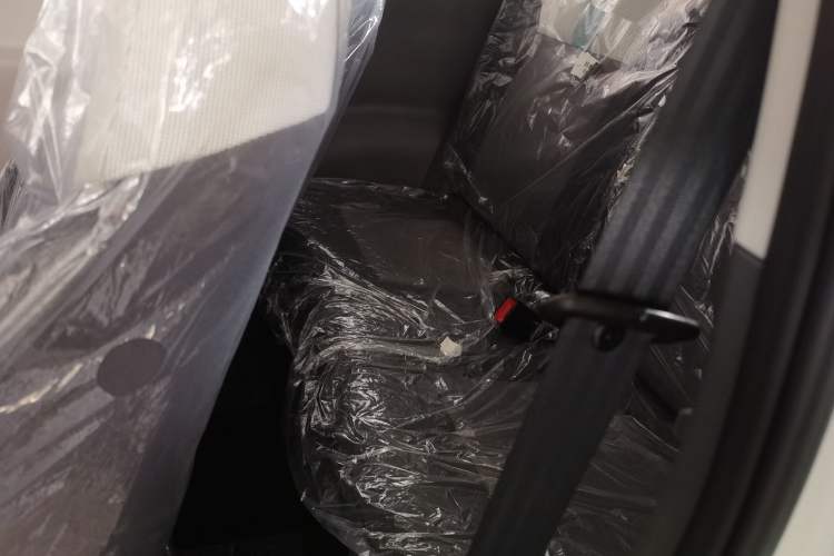 Used Qiyuan Lumin 2024 130km Qingyue Version
