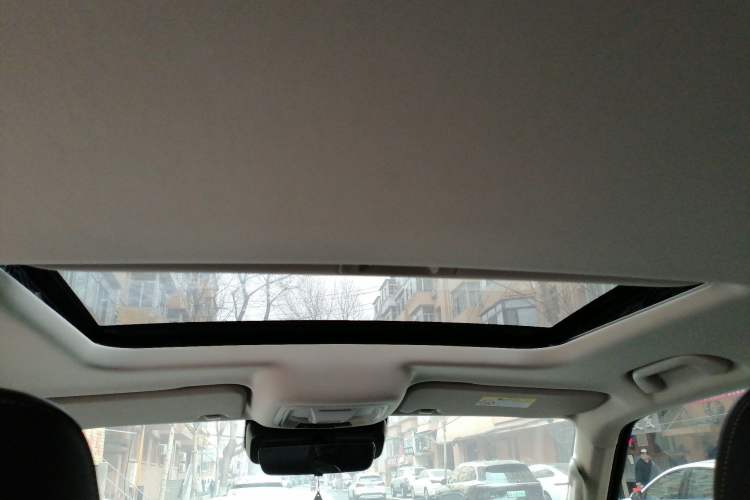 Used Tank 300 2024 2.0T Conqueror