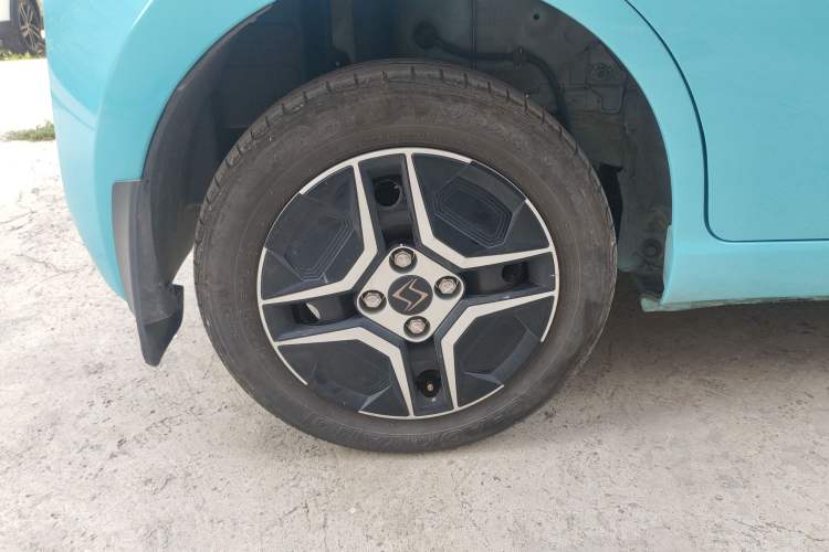 Used SOL E10X 2022 Flower Fairy Design Four-Leaf Clover