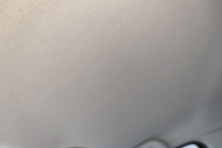 Used SOL E10X 2022 Flower Fairy Style Baby's Breath