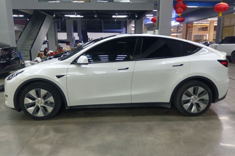 Used Tesla Model Y 2021 Standard Range Rear-Wheel Drive Version
