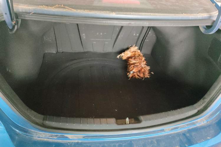 Used Hyundai Elantra (6th Generation / Lingdong) 2016 1.6L Automatic ZhiXuan – Elite Version
