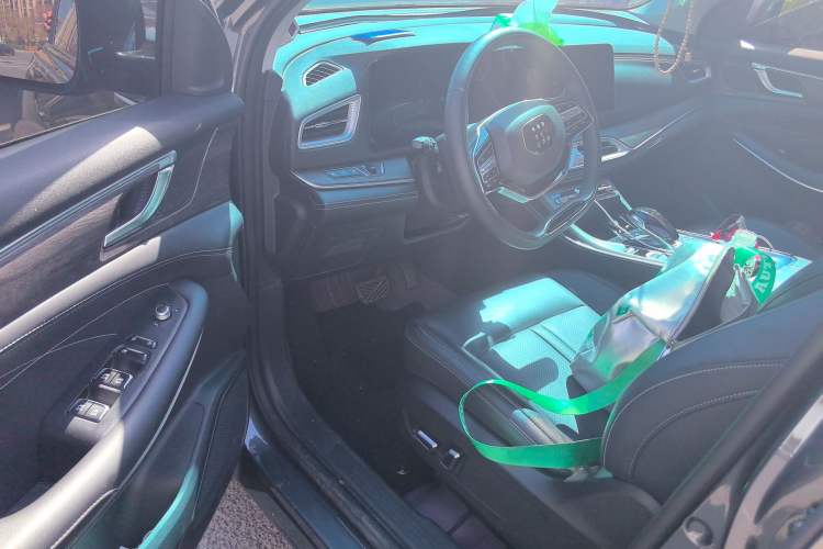 Used Landian E5 2024 Honor Edition 100KM Premium Model 7 Seats Driver Seat