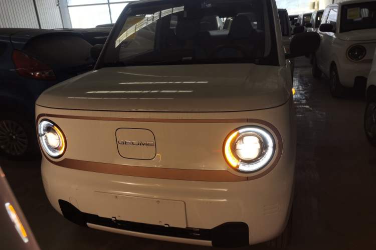 Used Geely Galaxy Panda 2024 Panda Mini 200km Endurance Bear
