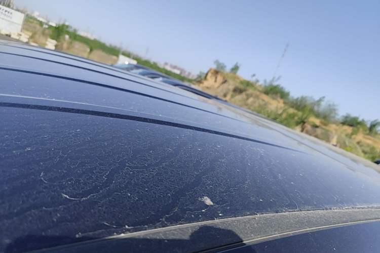 Used Hongqi HQ9 PHEV 2024 2.0T Four-Wheel Drive Business Edition Roof