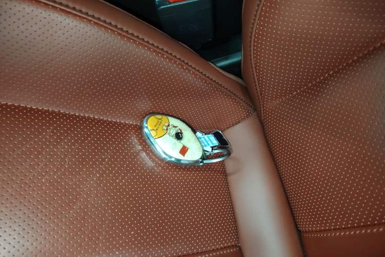 Used XPeng P7 2020 670N Vehicle Key