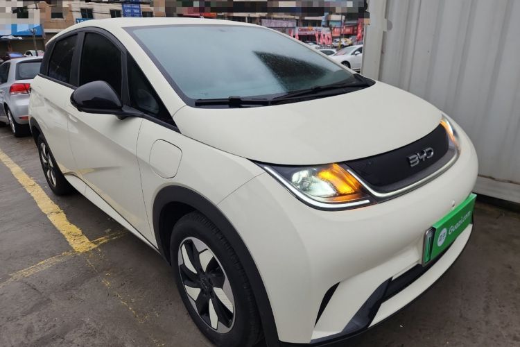 Used BYD Dolphin 2025 420km Free Edition