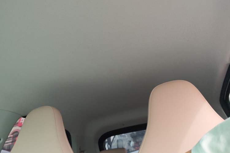 Used Leapmotor T03 2024 310 Comfort Edition Headliner