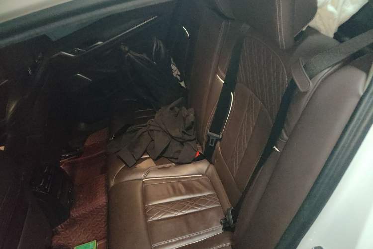 Used BMW 5 Series New Energy 2020 530Le Pioneer Edition Left Rear Seat