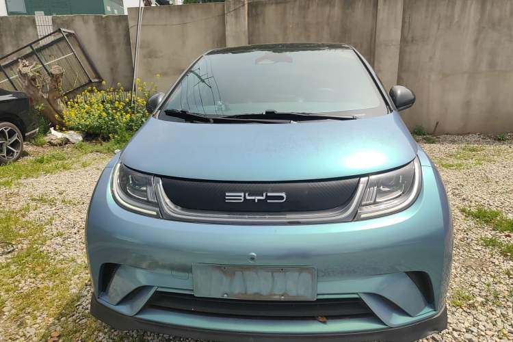 Used BYD Dolphin 2021 401km Knight Edition Front