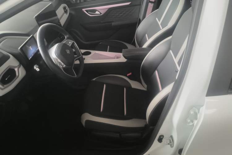 Used SOL E10X 2022 Flower Fairy Style Baby's Breath