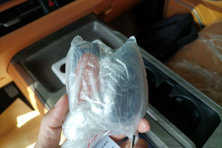 Used Wey Gaoshan 2025 Four-Wheel Drive Alpine 8 Interior 1