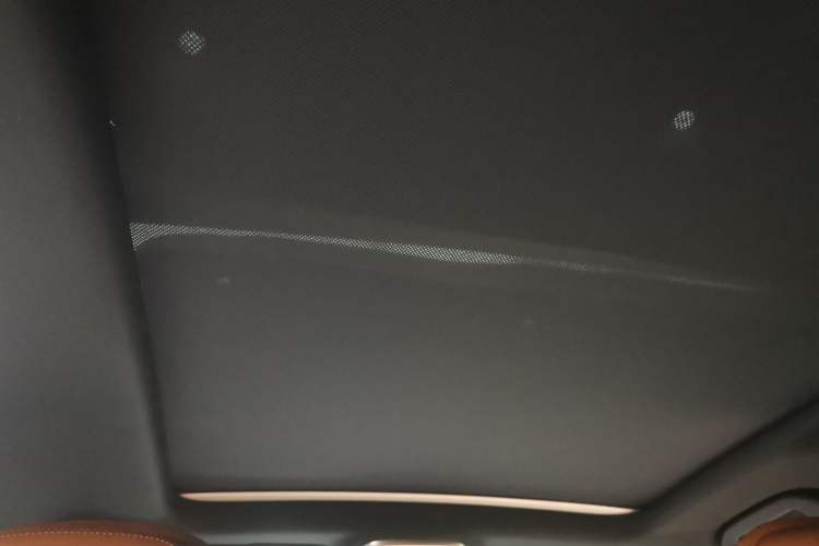 Used BYD Tang New Energy 2022 DM-p 215KM Four-Wheel Drive Flagship Model Headliner