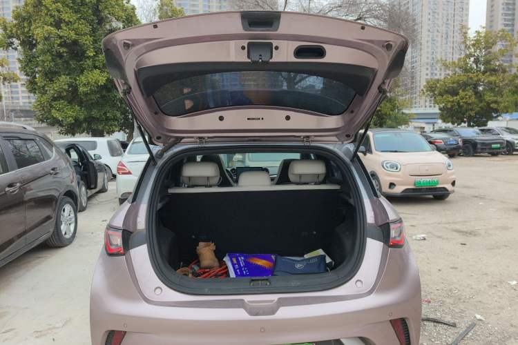 Used BYD Dolphin 2021 405 km Fashion Edition
