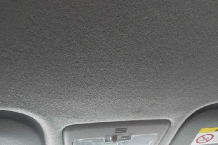 Used Toyota YARiS L Zhi Xuan 2020 X-Trail X 1.5L CVT Leading Edition Headliner