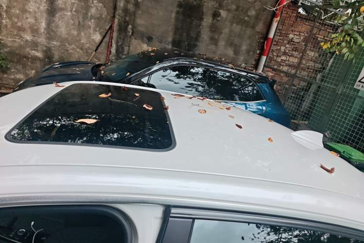 Used BMW 3 Series 2018 320Li Fashion Model
