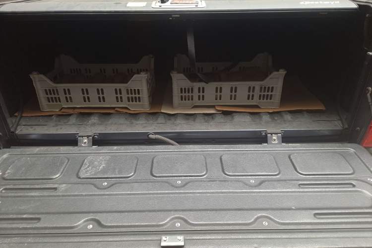 Used Foton General F9 2022 2.0T Gasoline Manual 4x4 Enjoyment Version Standard Cab 4G20TI5
