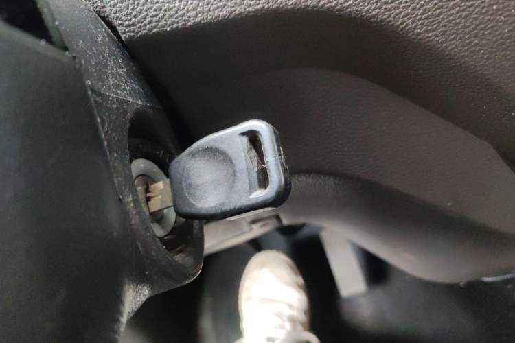 Used New Gonow Shuailing 2022 Standard Range with 41.64 kWh Lishen Power
