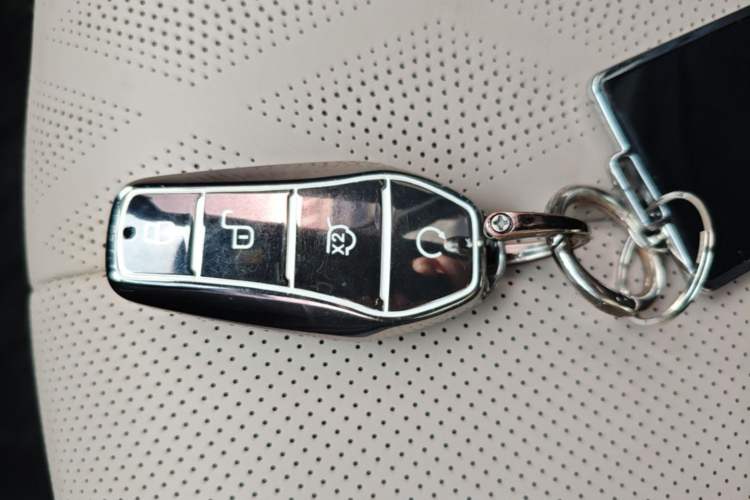 Used BYD Dolphin 2023 420 km Fashion Edition Vehicle Key