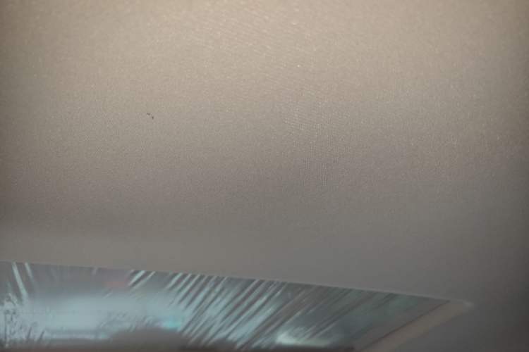 Used Buick Regal 2022 552T Smart Edition Headliner