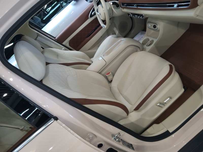 Used ORA Good Cat 2024 401 km Luxury Version 126 kW — 24