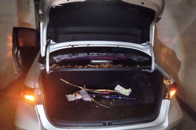 Used Toyota Corolla 2019 1.2T S-CVT GL Pioneer Edition
