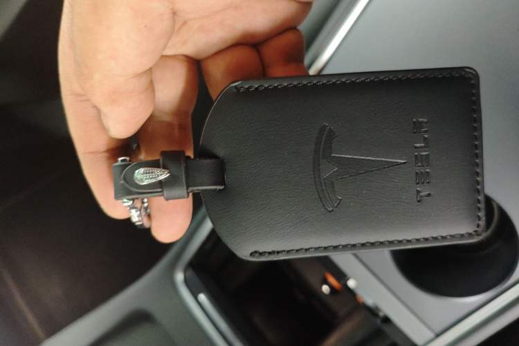 Used Tesla Model Y 2022 Revised Version Long-Range All-Wheel Drive
