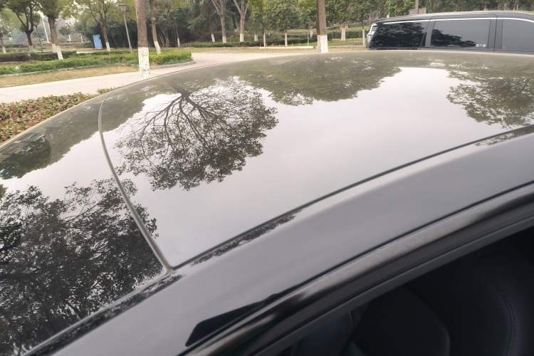 Used Tesla Model Y 2021 Standard Range Rear-Wheel Drive Version Roof