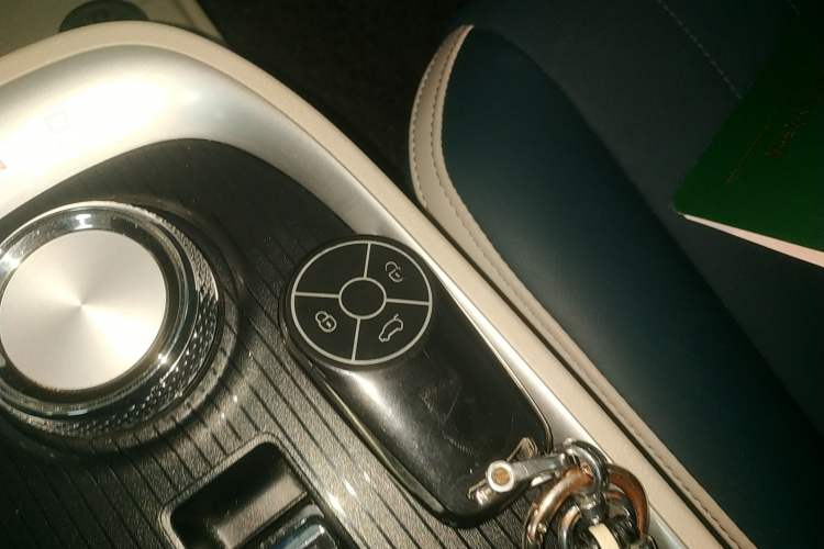 Used ORA Good Cat 2021 400km Standard Range Athena Edition Lithium-Ion Battery
