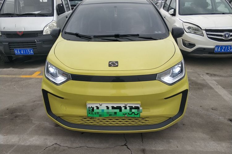 Used SOL E10X 2022 Flower Fairy Style Baby's Breath
