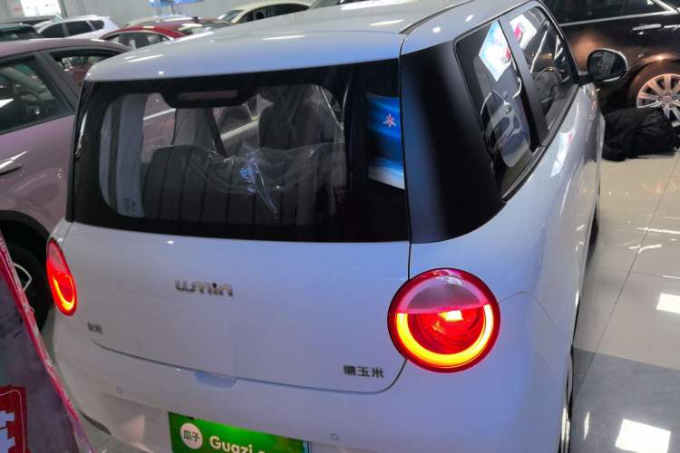 Used Qiyuan Lumin 2025 205 km Xiangqin Version
