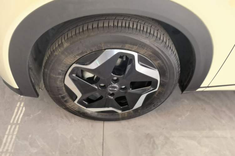 Used BYD Dolphin 2025 420km Active Version