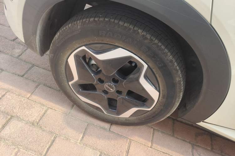 Used BYD Dolphin 2025 Smart Drive Version 420 km Freedom Edition