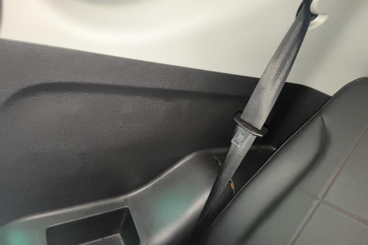 Used Chery New Energy Little Ant 2023 251km True Love Edition Lithium Iron Phosphate
