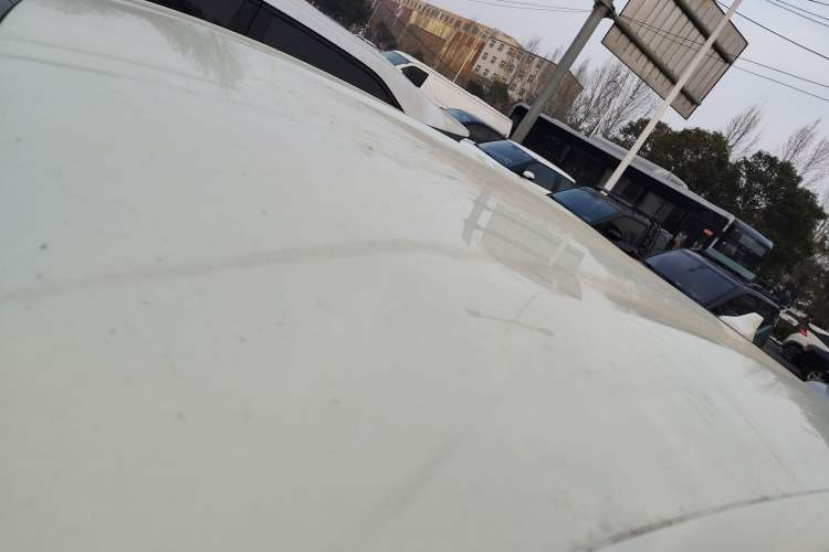 Used BYD Dolphin 2024 Honor Edition 302km Dynamic Version
