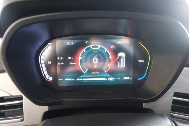 Used Dayun Yuehu 2022 30.66 kWh Two-Wheel Drive VIP Edition
